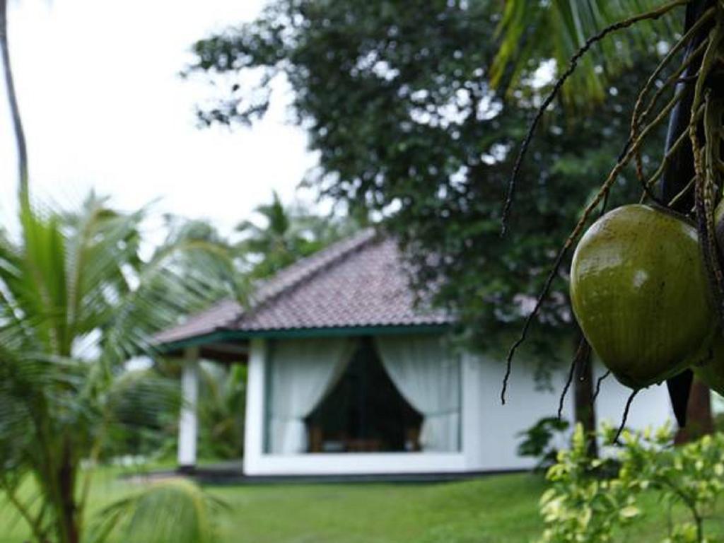 Hotel Brook Boutique Melsiripura Exterior foto